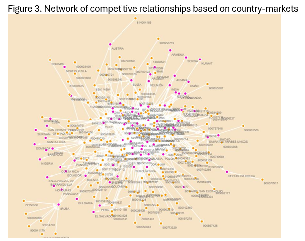 Network of competitive relationships based on country-markets